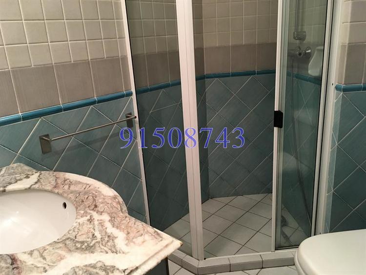 Dover Parkview (D5), Condominium #173553382
